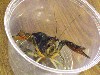 IMG_0228.jpg